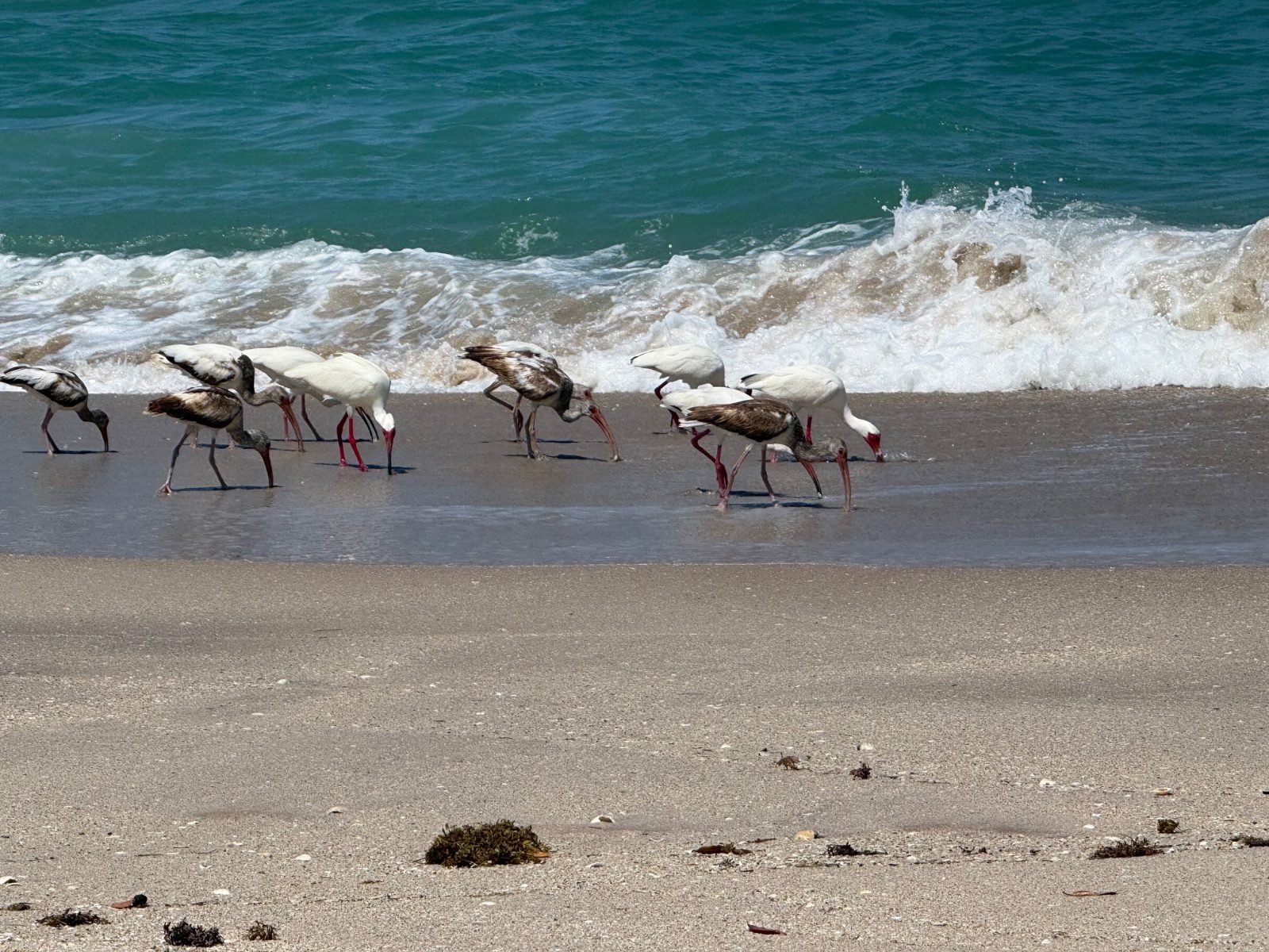 Seashore